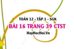 Bài 16 trang 39 Toán 12 tập 1 Chân trời sáng tạo